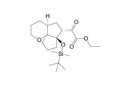 Ethyl 2-((4aS*,6S*,6aR*,9aS*)-6a-((tert-butyldimethylsilyl)oxy)decahydropentaleno-[6a,1-b]pyran-6-yl)-2-oxoacetate