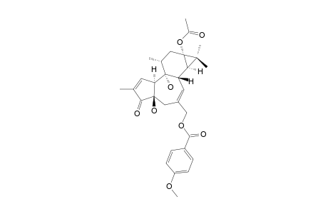 13-O-ACETYL-20-O-PARA-METHOXYBENZOYL-12-DEOXYPHORBOL