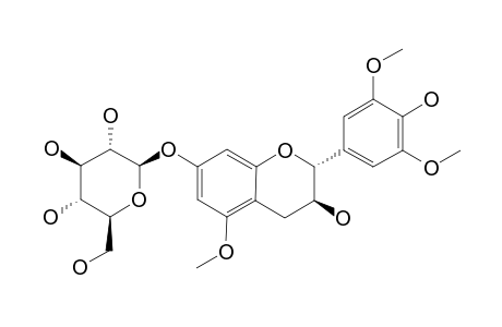 GLOCHIFLAVANOSIDE-B;(2R,3S)-3,7,4'-TRIHYDROXY-5,3',5'-TRIMETHOXYFLAVAN-7-O-BETA-D-GLUCOPYRANOSIDE