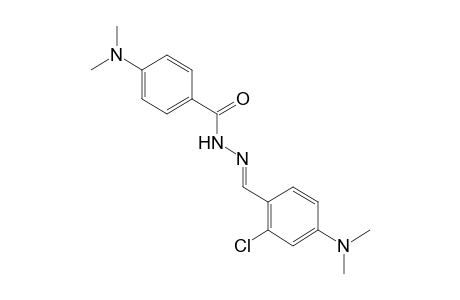 p-(DIMETHYLAMINO)BENZOIC ACID, [2-CHLORO-4-(DIMETHYLAMINO)BENZYLIDENE]HYDRAZIDE