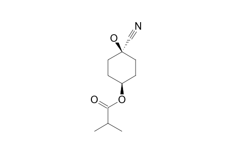 CIS-4-(2-METHYLPROPIONYLOXY)-CYCLOHEXANONE-CYANOHYDRIN