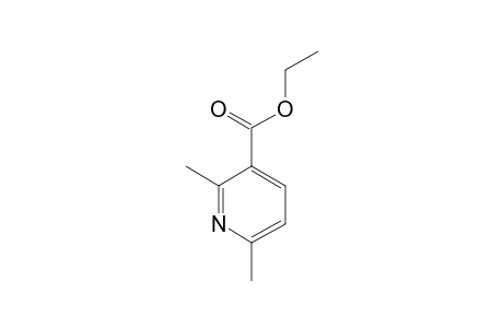ETHYL-2,6-DIMETHYLPYRIDINE-3-CARBOXYLATE