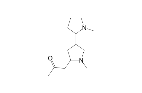 2',4-N-METHYLPYRROLIDINYLHYGRINE