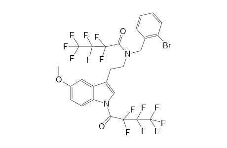 5MT-NB2B 2HFB