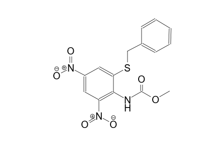 methyl 2-(benzylsulfanyl)-4,6-dinitrophenylcarbamate