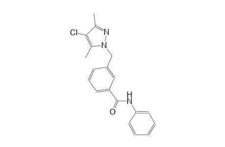 3-[(4-chloro-3,5-dimethyl-1H-pyrazol-1-yl)methyl]-N-phenylbenzamide