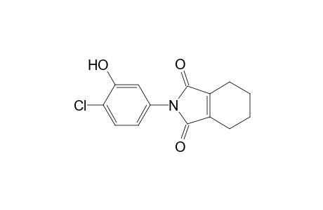 1H-Isoindole-1,3(2H)-dione, 2-(4-chloro-3-hydroxyphenyl)-4,5,6,7-tetrahydro-