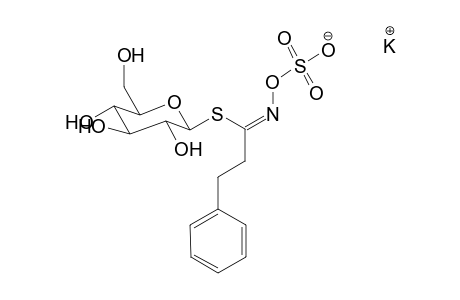 2-Phenethylglucosinolate
