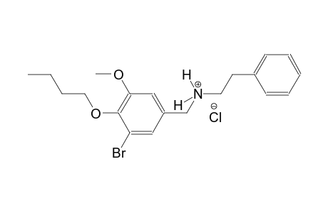 N-(3-bromo-4-butoxy-5-methoxybenzyl)-2-phenylethanaminium chloride