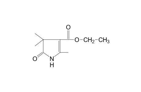 5-OXO-2,4,4-TRIMETHYL-2-PYRROLIDINE-3-CARBOXYLIC ACID, ETHYL ESTER