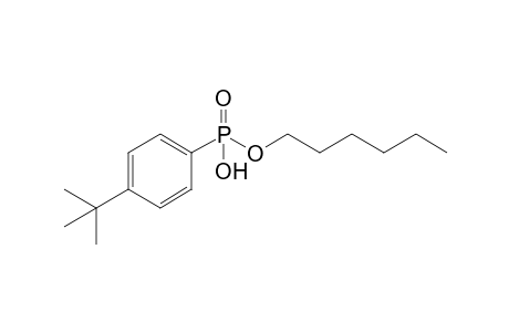 Hexyl hydrogen p-t-butylphenylphosphonate