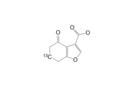 (6-C-13)-4,5,6,7-TETRAHYDRO-4-OXOBENZOFURAN-3-CARBOXYLIC-ACID