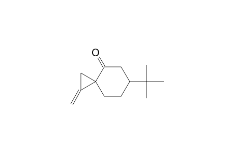 6-t-Butyl-1-methylenespiro[2.5]octan-4-one