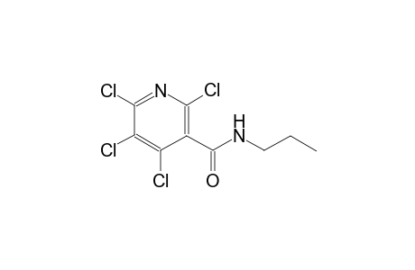 3-pyridinecarboxamide, 2,4,5,6-tetrachloro-N-propyl-