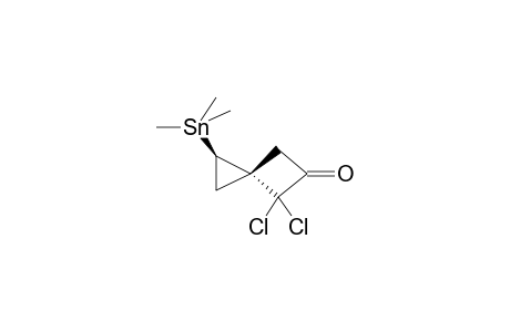 (1R*,3R*)-4,4-DICHLORO-1-TRIMETHYLSTANNYLSPIRO[2.1]HEXAN-5-ONE