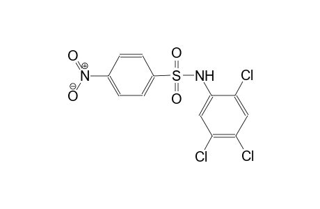 4-nitro-N-(2,4,5-trichlorophenyl)benzenesulfonamide