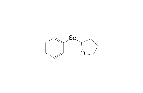 2-(Phenylselenyl)-tetrahydrofuran