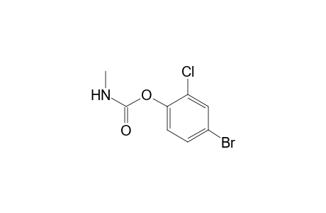 4-Bromo-2-chlorophenyl ester of methylcarbamic acid