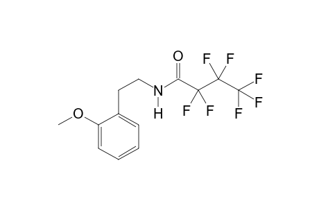 2-Methoxyphenethylamine HFB