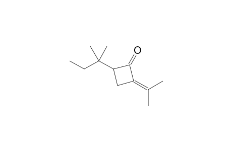 2-Isopropylidene-4-(1,1-dimethylpropyl)cyclobutanone