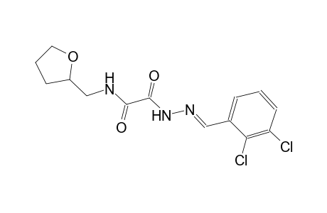 2-[(2E)-2-(2,3-dichlorobenzylidene)hydrazino]-2-oxo-N-(tetrahydro-2-furanylmethyl)acetamide