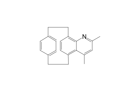2,4-Dimethyl-[2]paracyclophanyl-[2]-(5,8)-quinolinophane
