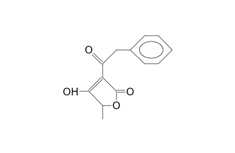 3-(2-Phenyl-acetyl)-5-methyl-tetronic acid