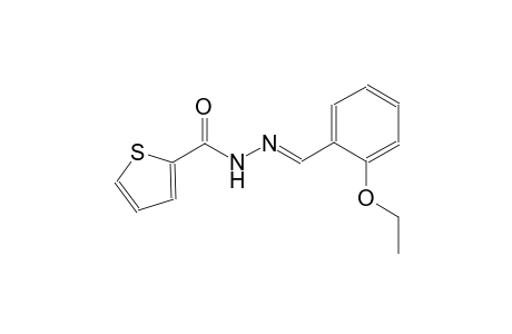 N'-[(E)-(2-ethoxyphenyl)methylidene]-2-thiophenecarbohydrazide