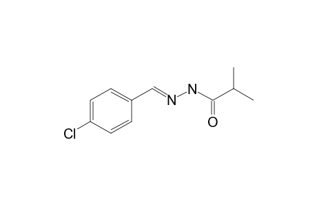 N'-[(E)-(4-chlorophenyl)methylidene]-2-methylpropanohydrazide