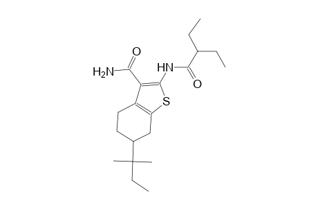 2-[(2-ethylbutanoyl)amino]-6-tert-pentyl-4,5,6,7-tetrahydro-1-benzothiophene-3-carboxamide