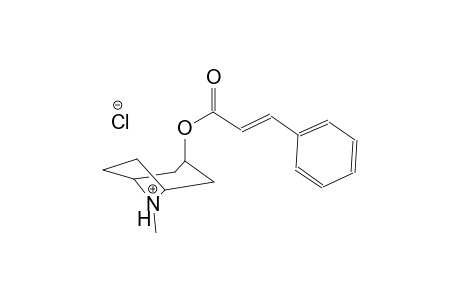 8-azoniabicyclo[3.2.1]octane, 8-methyl-3-[[(2E)-1-oxo-3-phenyl-2-propenyl]oxy]-, chloride