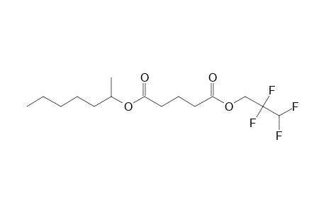 Glutaric acid, 2,2,3,3-tetrafluoropropyl 2-heptyl ester