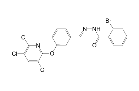 (E)-N'-(3-(3,5,6-Trichloropyridin-2-yloxy)benzylidene)-2-bromobenzohydrazide