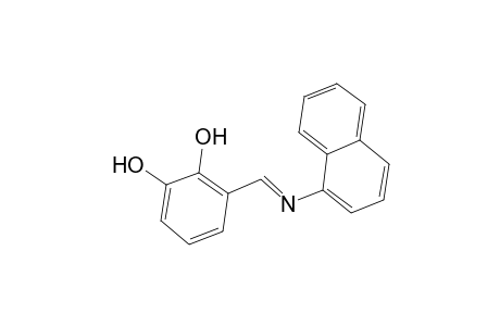 3-(naphthalen-1-yliminomethyl)-benzene-1,2-diol