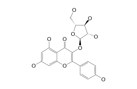 KAEMPFEROL-3-ALPHA-ARABINOFURANOSIDE