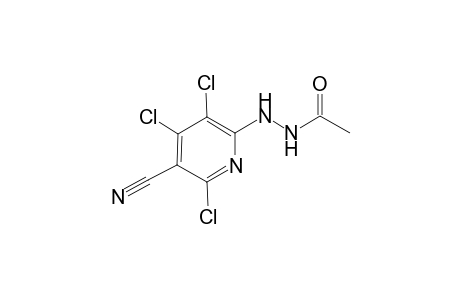 Acetic acid N'-(3,4,6-trichloro-5-cyano-pyridin-2-yl)-hydrazide