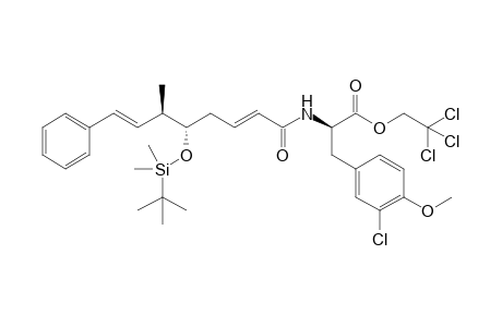 2,2,2-Trichloroethyl ester of N-[(1-oxo-5-(tert-butyldimethylsilyloxy)-6-methyl-8-phenyl)octa-2,7-dienyl]-3-chloro-O-methyl-D-tyrosine isomer