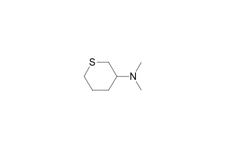2H-Thiopyran-3-amine, tetrahydro-N,N-dimethyl-