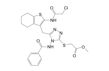{4-Benzoylamino-5-[2-(2-chloro-acetylamino)-4,5, 6,7-tetrahydro-benzo[b]thiophen-3-ylmethyl]-4H-[1,2,4]triazol-3-ylsulfanyl}-acetic acid methyl ester