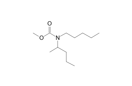 Carbonic acid, monoamide, N-(2-pentyl)-N-pentyl-, methyl ester