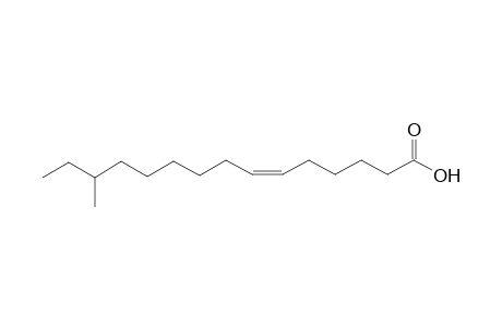 (6Z)-13-methylpentadec-6-enoic acid