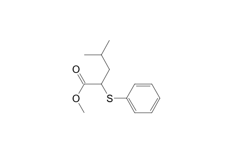 Pentanoic acid, 4-methyl-2-(phenylthio)-, methyl ester