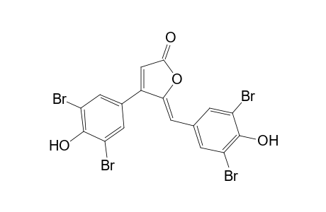 Rubrolide A