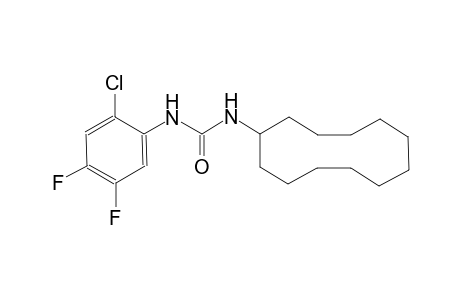 N-(2-chloro-4,5-difluorophenyl)-N'-cyclododecylurea