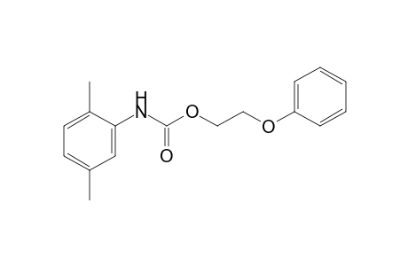 2,5-dimethylcarbanilic acid, 2-phenoxyethyl ester