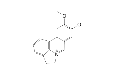 8-O-DEMETHYLVASCONINE