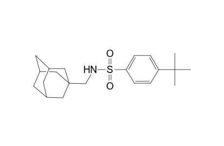 Benzenesulfonamide, N-(adamantan-1-yl)methyl-4-tert-butyl-