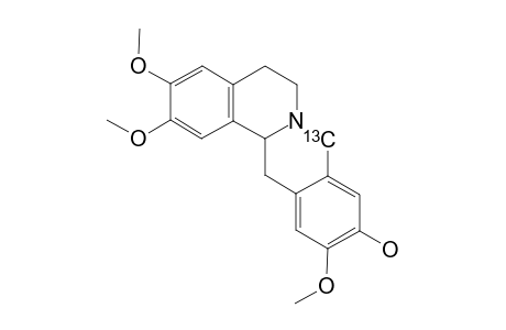 (+/-)-[8-(13)-C]-10-DEMETHYLXYLOPININE