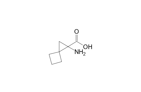 2-Amino-2-spiro[2.3]hexanecarboxylic acid