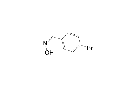Benzaldehyde, 4-bromo-, oxime, (Z)-